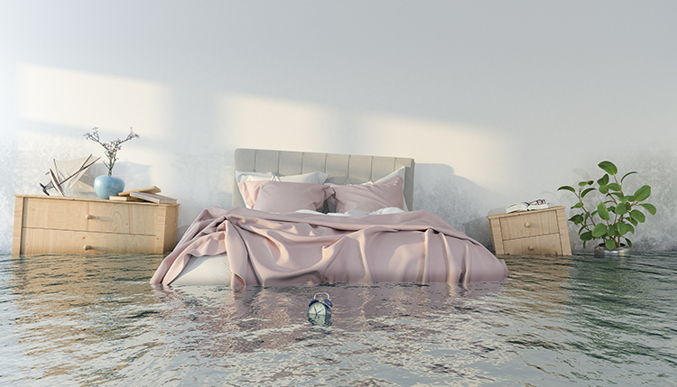 What to do after a flood in your house?