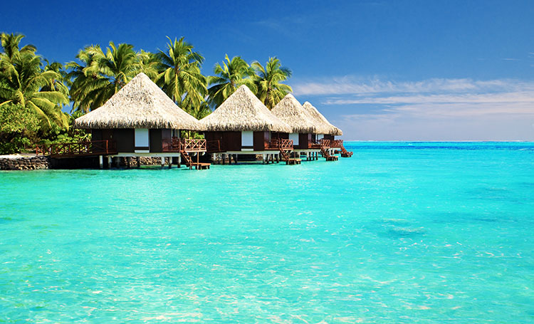 Our Dream Holiday Destinations
