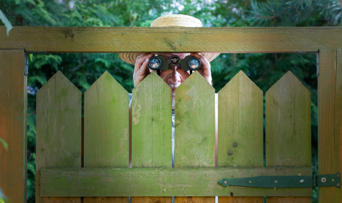 Man peeping through fence with binoculars