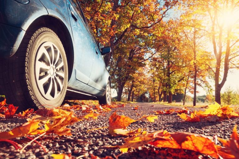 low angle shot of blue car driving through road of autumn leaves
