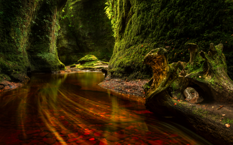 orange water flowing through green mossy surrounding