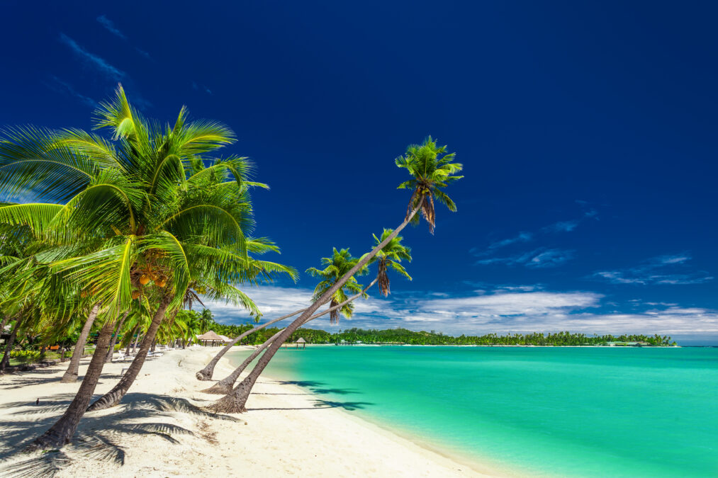Tropical beach with coconut palm trees over the lagoon on Fiji Islands