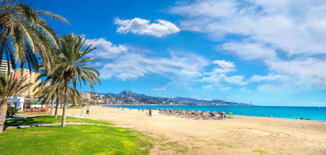 Panoramic view of Malagueta beach in Malaga. Costa del Sol, Andalusia, Spain. Palm trees on greenery, next to a beach with sun loungers and blue sky