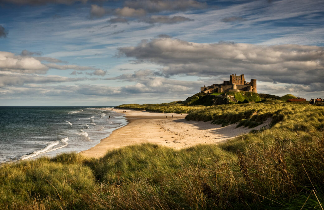Late afternoon light illuminates the castle and beach at Bamburgh.  Bamburgh castle in the background. With the sandy beach in the middle surrounded by grass