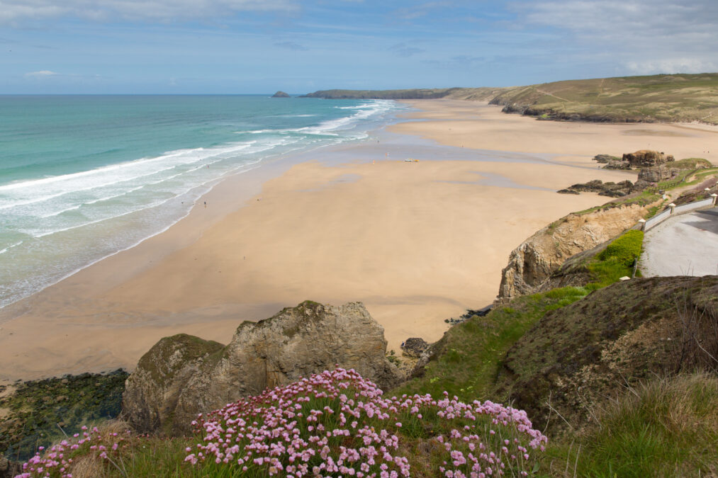 A hill top view looking down on a sandy beach with blue waves. A rocky foreground with greenery and pink flowers 