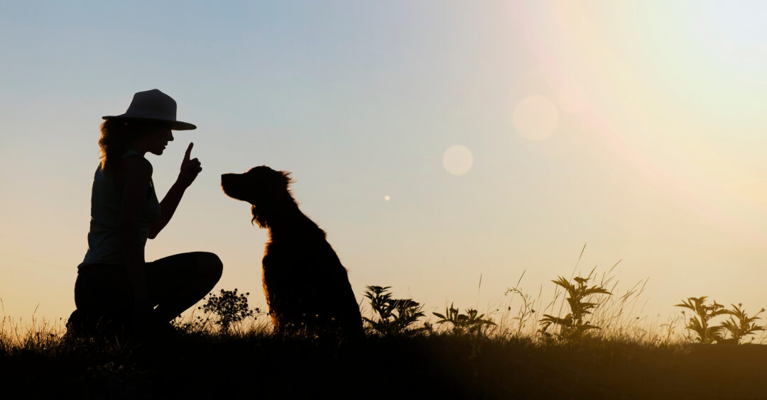 Silhouette of a female as training her dog 