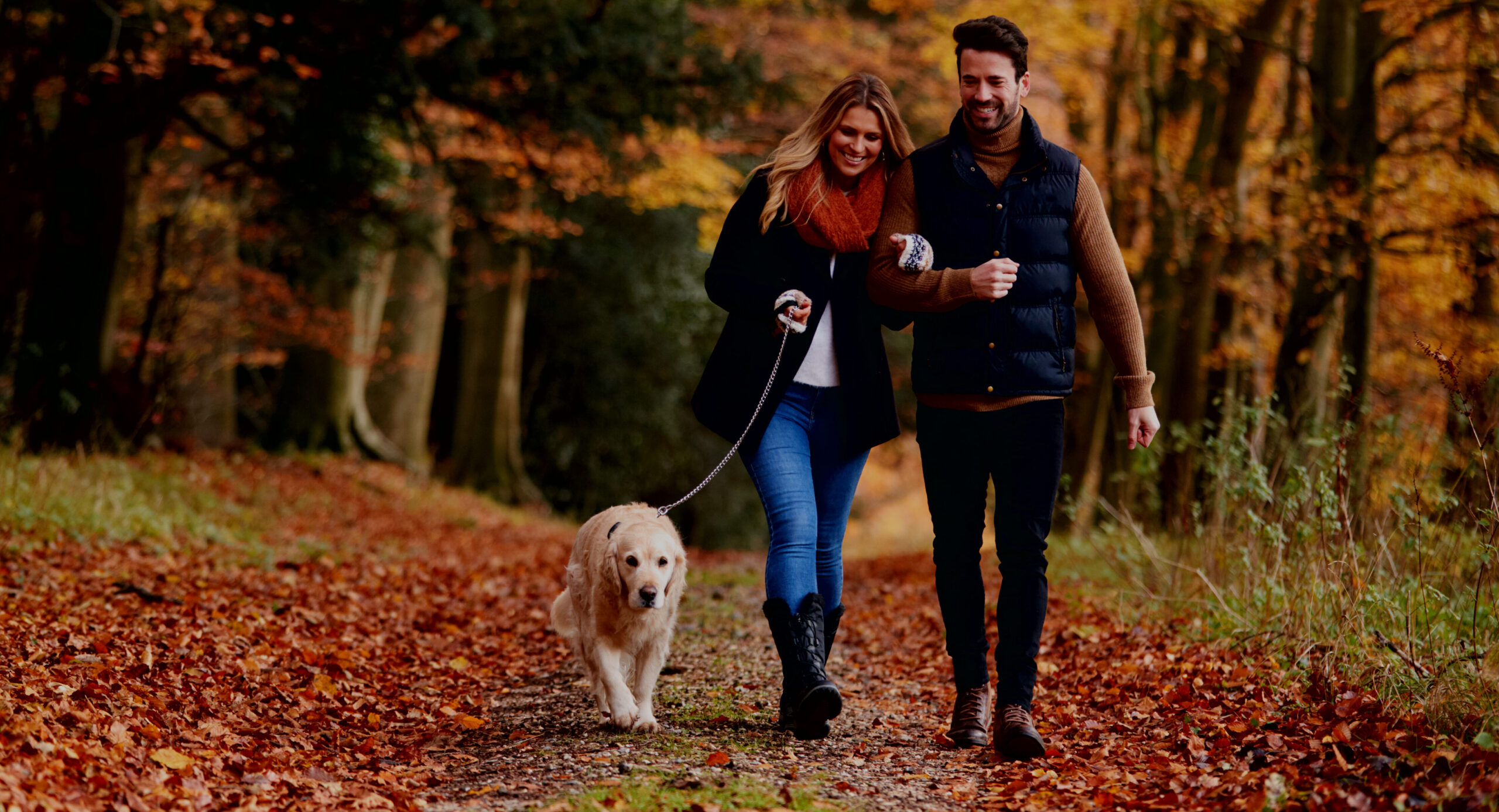 Loving Couple Walking With Pet Golden Retriever Dog Along Autumn Woodland Path Through Trees