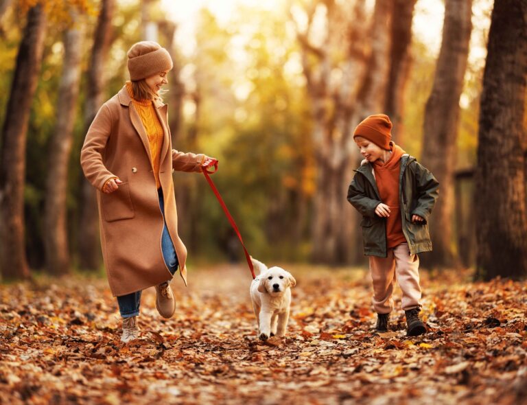 Mum and son walking through orange woodlands with their small white dog