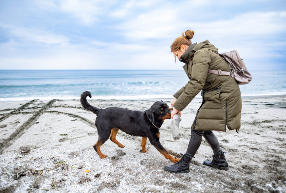 Women playing with large dog and a log on a beach