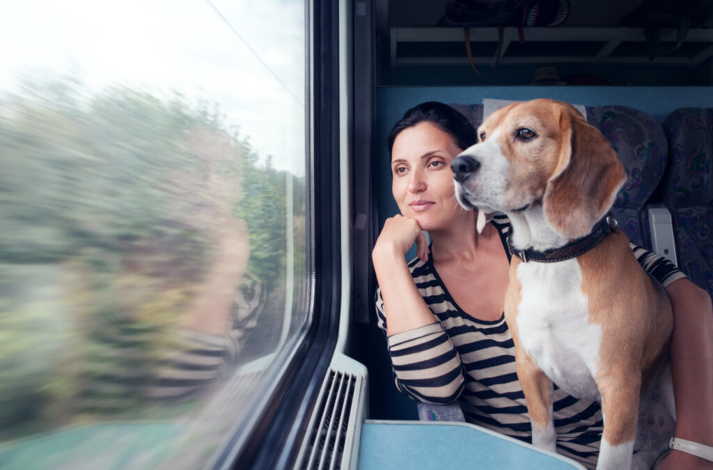 women and dog looking out of train window