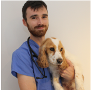 a picture of a male vet in blue scrubs holding a spaniel 